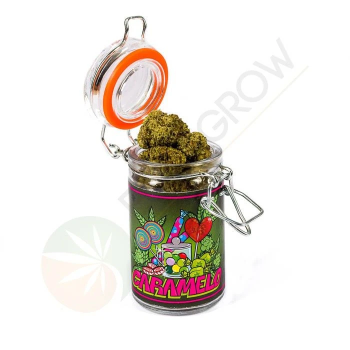 Cogollos CBD Caramelo - Imagen 2