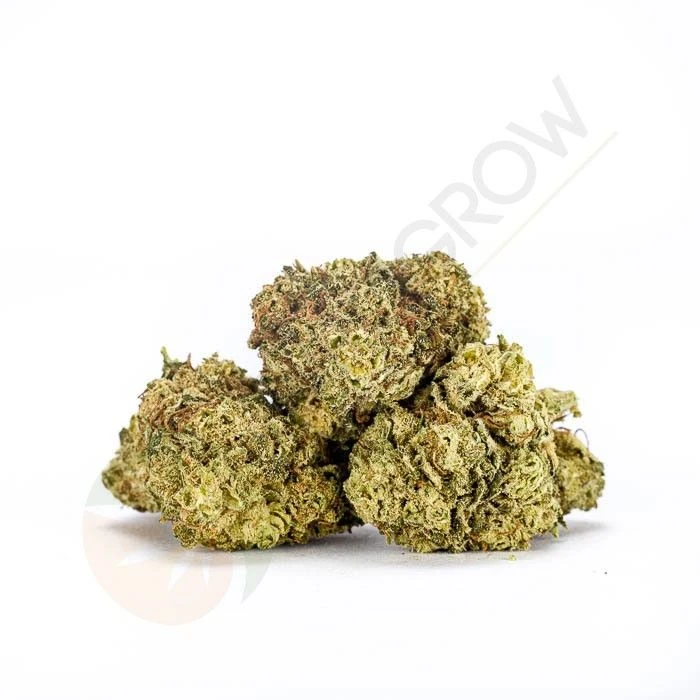 Cogollos CBD Caramelo - Imagen 3