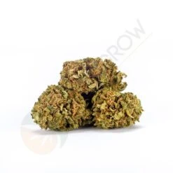 Flores CBD Dos Si Dos