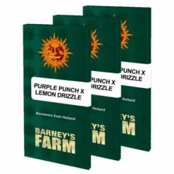 Purple Punch X Lemon Drizzle