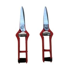 Tijeras Vendimiar Recta